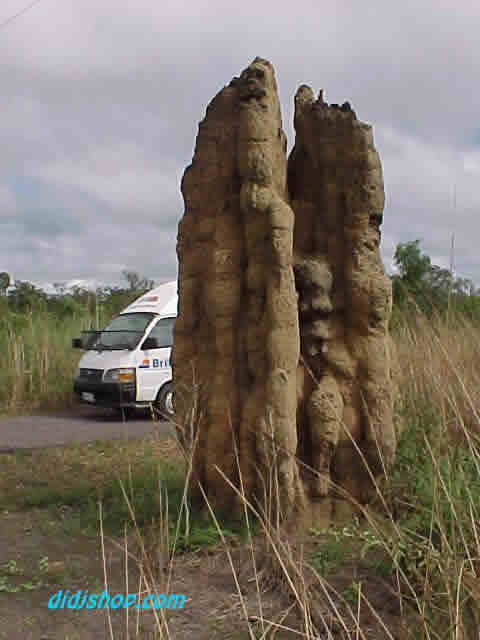 Cathedral Mounds