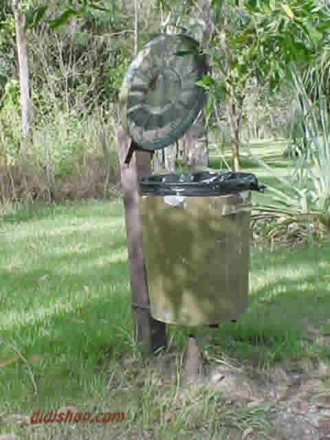 Termite nest under bin